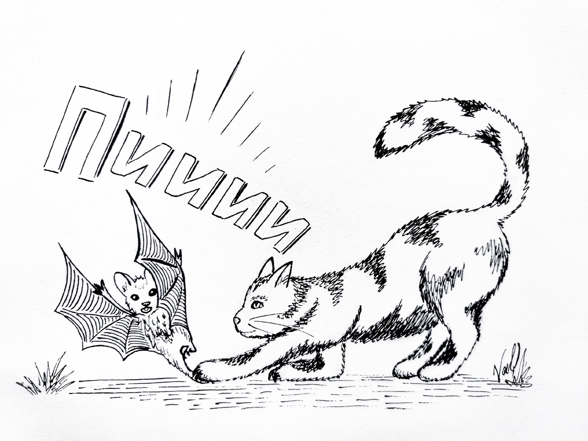 Не большая разминка на кануне