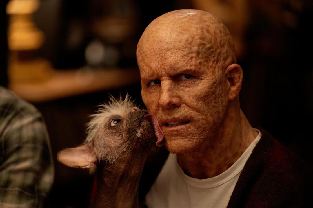 Райан Рейнольдс