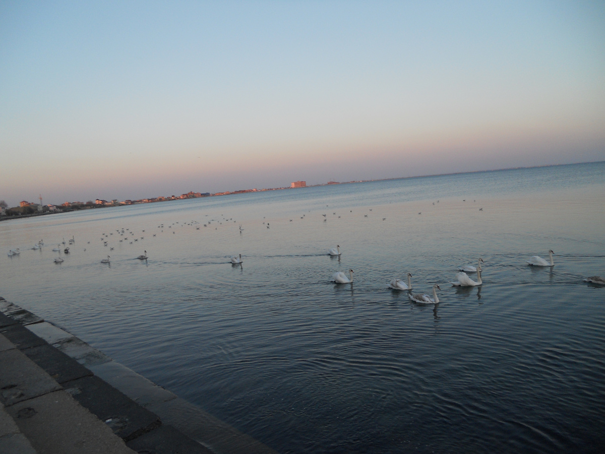 Личные фото.