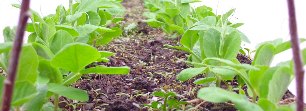 Фото: David | flickr