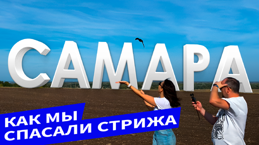 Download Video: САМАРСКИЙ ВЛОГ | Как мы спасали стрижа или как стать орнитологом за 20 дней