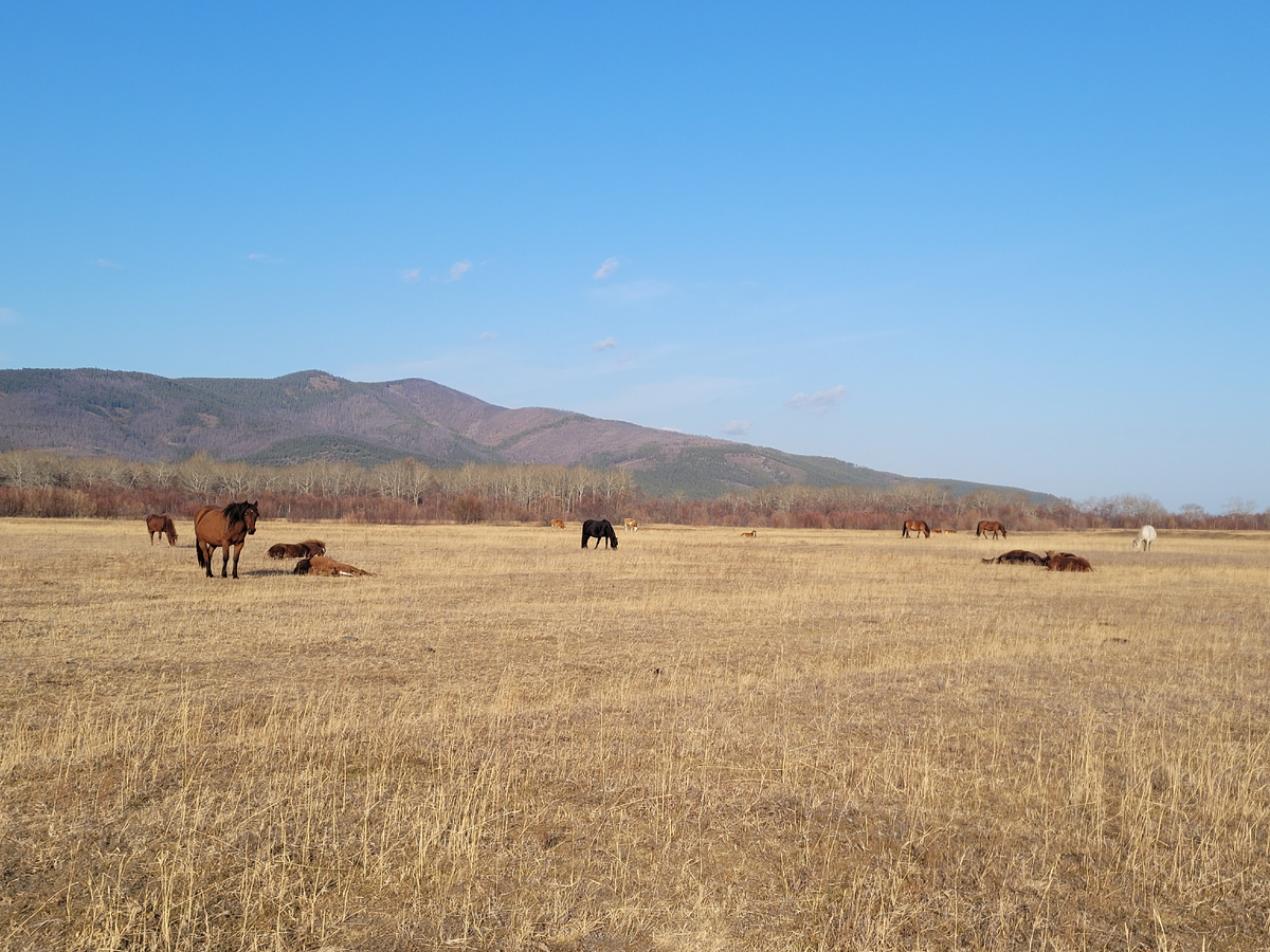 Рядом с нашим участком
