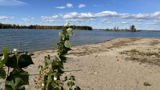 Судаки Обского водохранилища. Конец сентября.Трудовая рыбалка в Боровом.