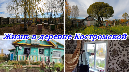 ЖИЗНЬ В ДЕРЕВНЕ В КОСТРОМСКОЙ, НОВЫЕ ОКНА, ВСЁ ЗАМЕРЗЛО-ПРИБИРАЕМ.