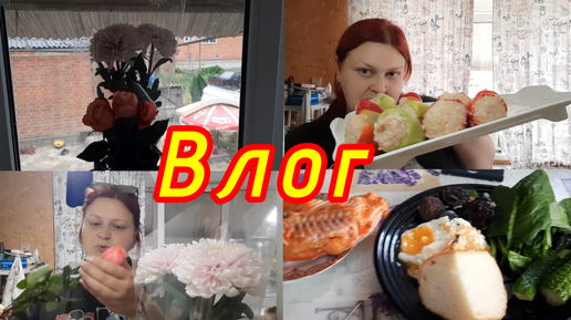 Tải video: ВЛОГ💥//ПОКУПКИ WB ДЛЯ ВИКУШИ🔥// ЗАГОТОВКИ НА ЗИМУ👍//ПРЕКРАСНОЕ УТРО😆//ОБМАНУЛИ 😔//В ДУШЕ ФЛОРИТС💐//ТАРЕЛОЧКИ ЗА ДЕНЬ 🍟