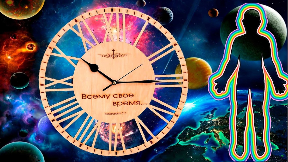 Биологические ритмы человека.