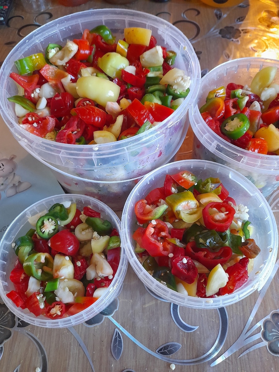 Перец в пластиковых ведёрках перед заливкой маринадом.