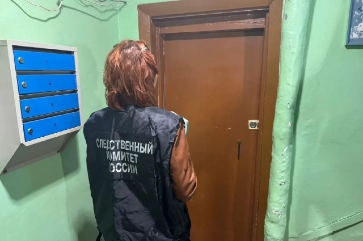    Опубликовано видео квартиры в Железногорске, где произошло убийство опекуна