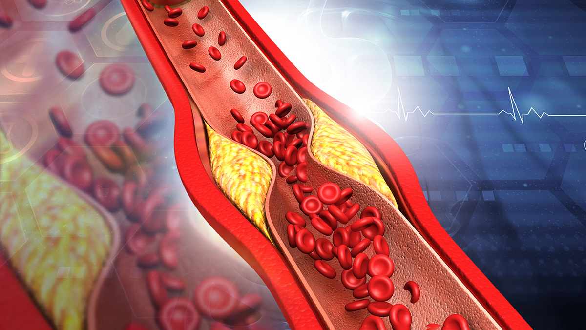     Фото: Shutterstock.com