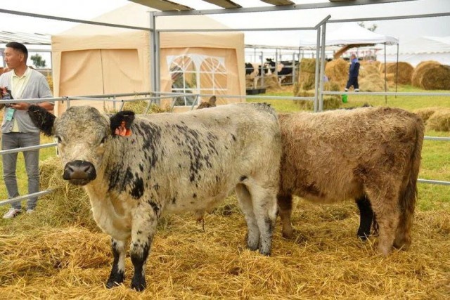   Фото: Сергей Спехов