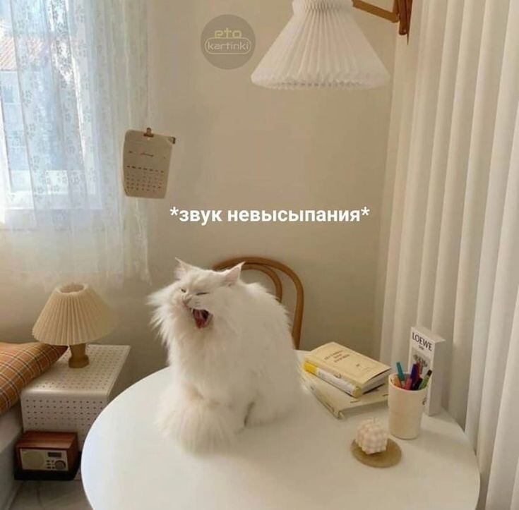 картинка из интернета