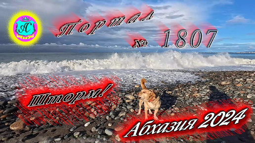 #Абхазия2024 🌴 2 октября. Выпуск №1807❗Погода от Серого Волка🌡вчера 19°🌡ночью +16°🐬море +23,2°