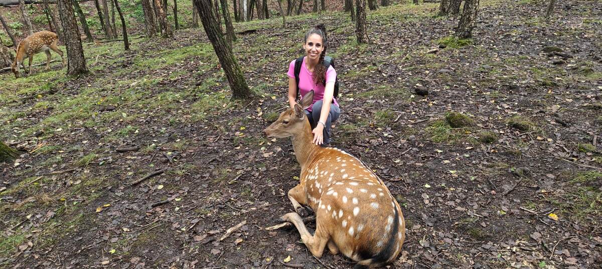 Вместе с БЭМБИ