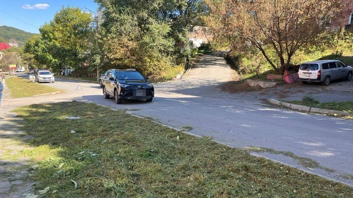     Источник: prim_police