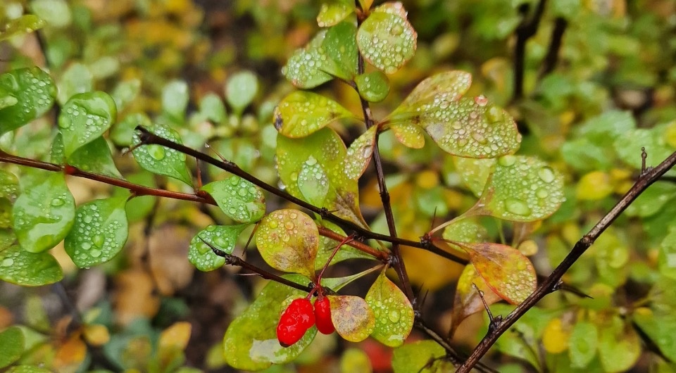   Марина Попова / N + 1