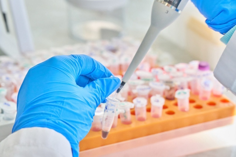 Работа в лаборатории