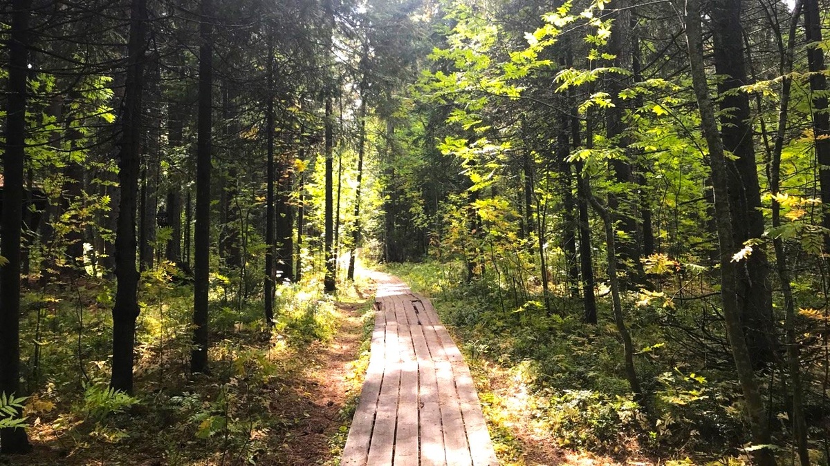    Историю первой экологической тропы рассказали югорчанам