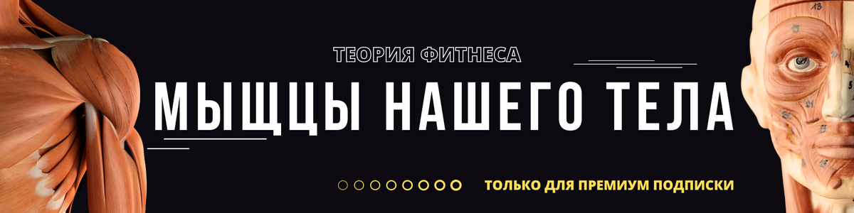 Большая статья на FitForfun