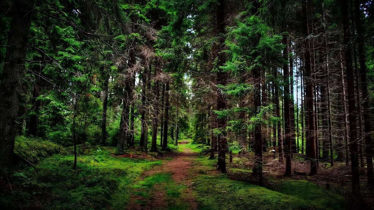     Источник: Изображение Midjourney