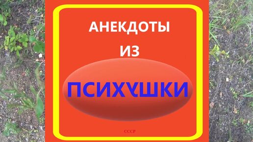 Анекдоты из Психушки. Мне помогает их рассказать Искусственный Интеллект.