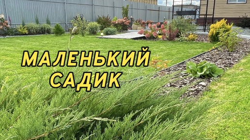 В САДУ УЖЕ НЕТ МЕСТА, но я всё равно САЖАЮ! Новые растения!🌿Осенняя прогулка! Первые заморозки!