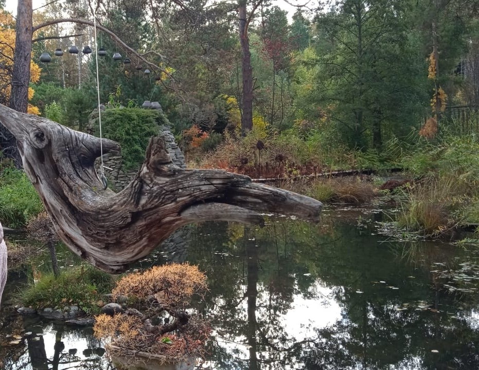 Фото Галины Овчаровой