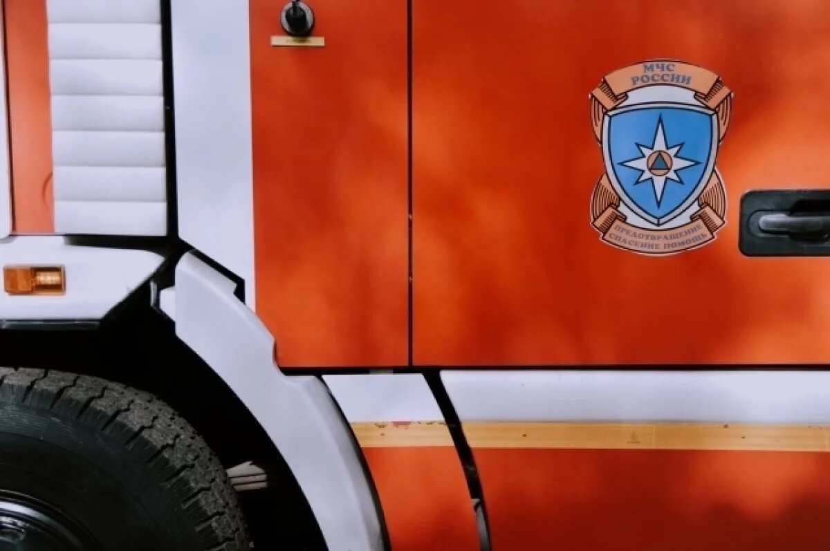    В Рязанской области оштрафовали женщину, из-за которой сгорело 4,2 га травы