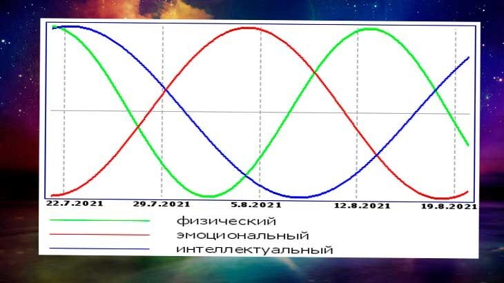 Расписание  биологических ритмов. 