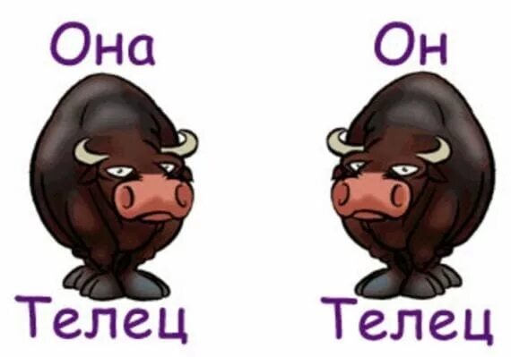 Совместимость Тельцов