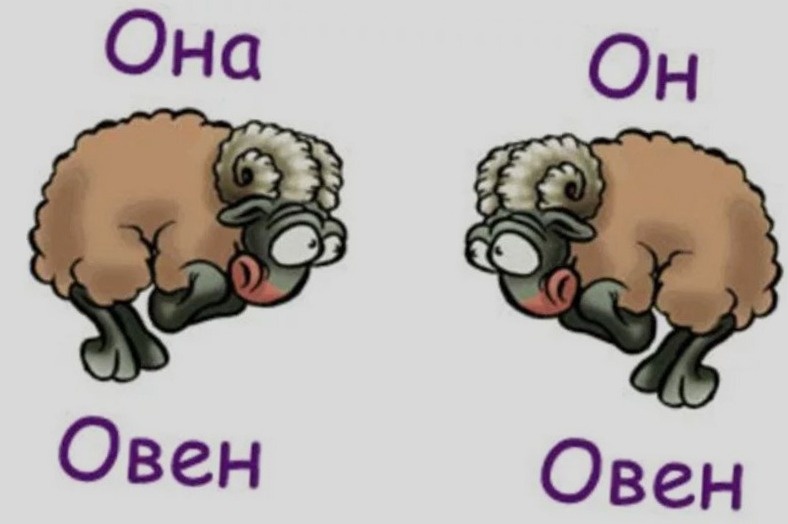 Совместимость Овнов