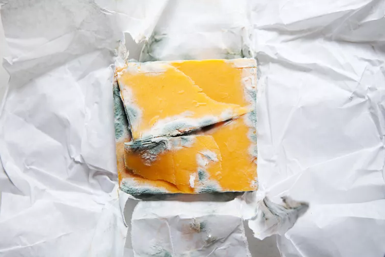 Покрытый неблагородной плесенью чеддер 