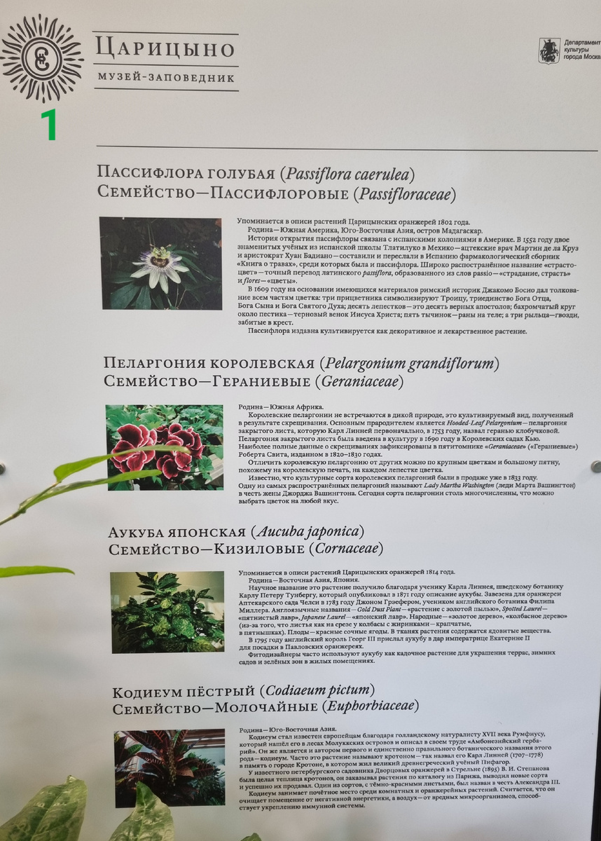 Информационные стенды правого зала первого корпуса