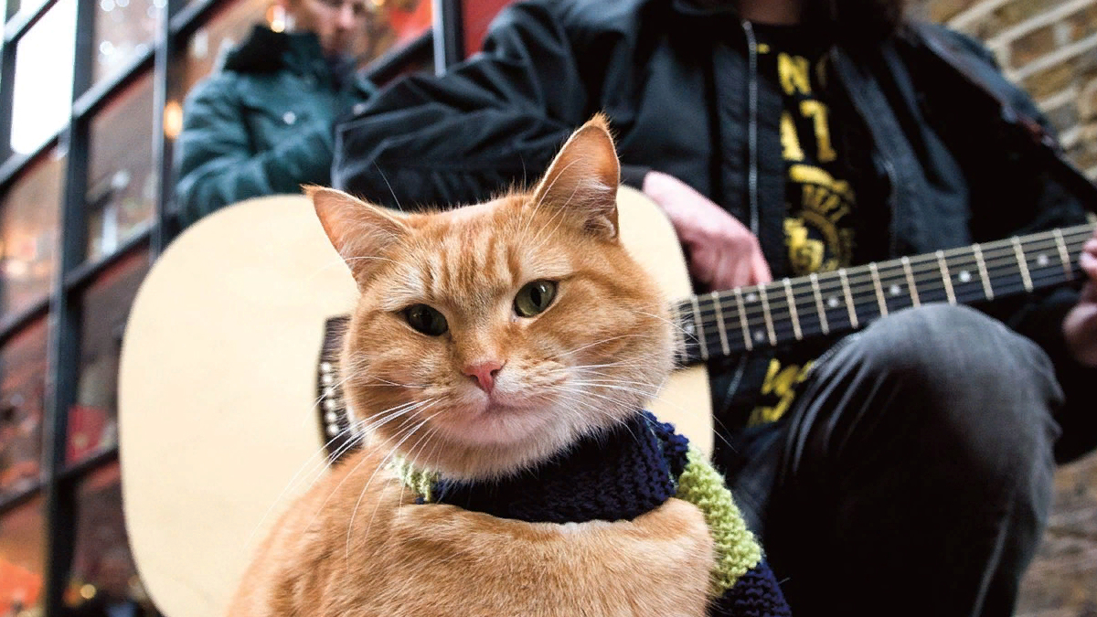 «Уличный кот по кличке Боб», 2016. Фото: кадр из фильма