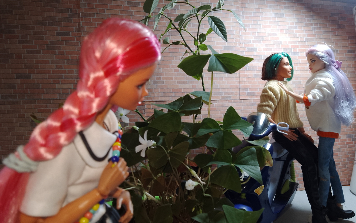 Фото автора 