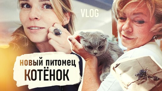 НОВЫЙ котик, моя СТРИЖКА, Отмыв ЗОЛОТА, НА ЛЮДЯХ НЕ ПРИЛИЧНО это делать VLOG- Senya Miro