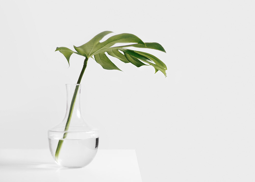 Минимализм и экология