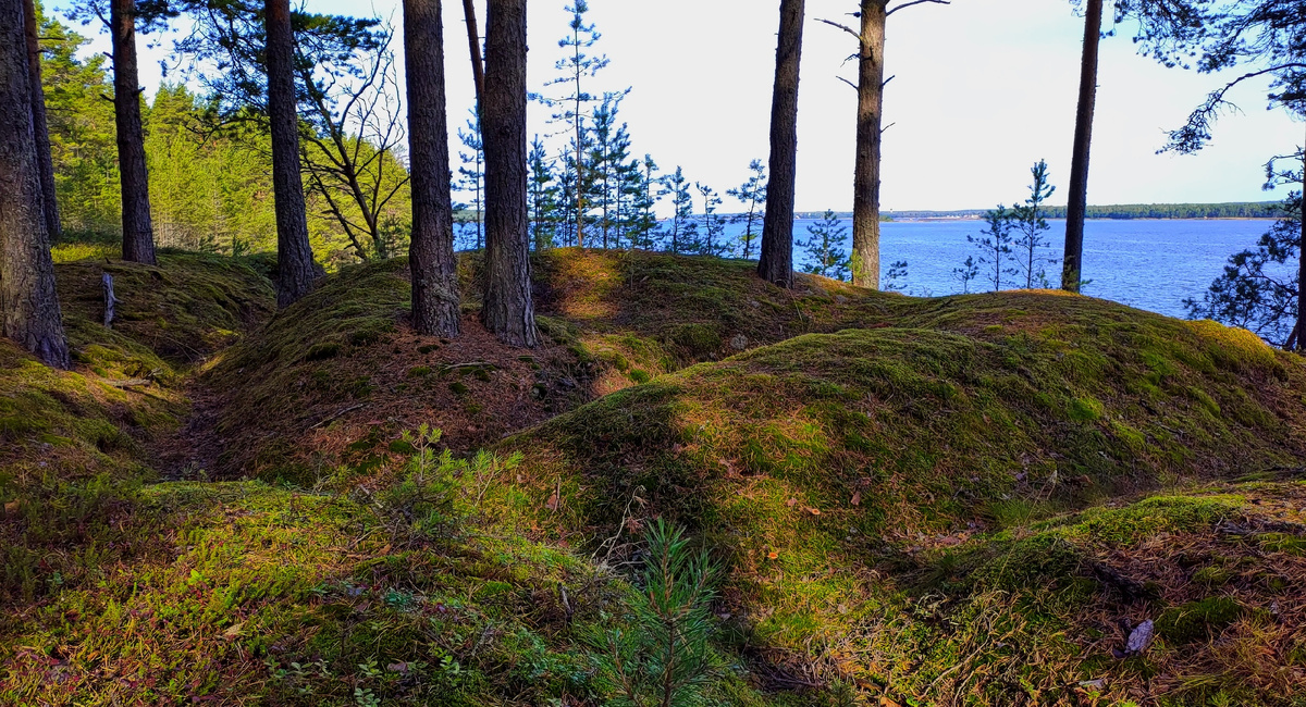 Вид с острова Большой Берёзовый на пролив Бъёркезунд и материк. / фото автора.