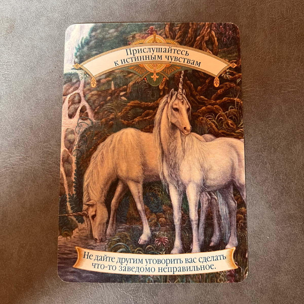 1 карта - Слушайте свои истинные чувства