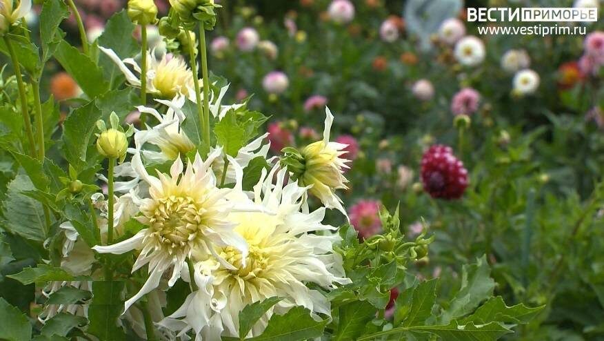    Источник фото: