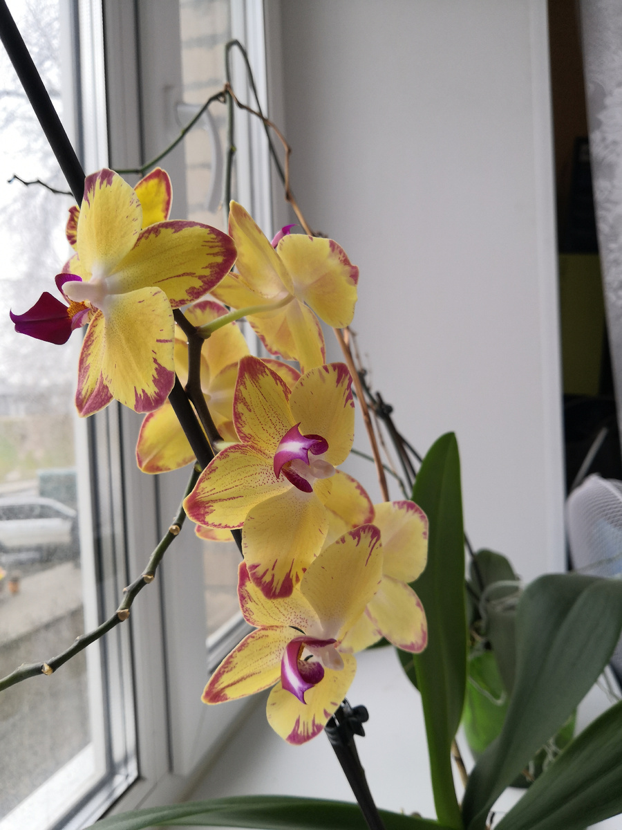 парочка архивных фото