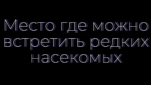 Природа России Астраханская область бархан Большой брат