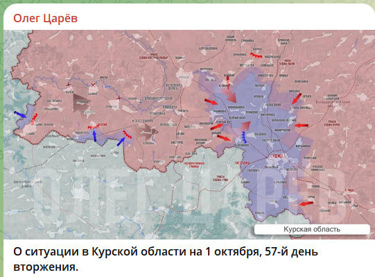    Скриншот: канал "Олег Царёв"