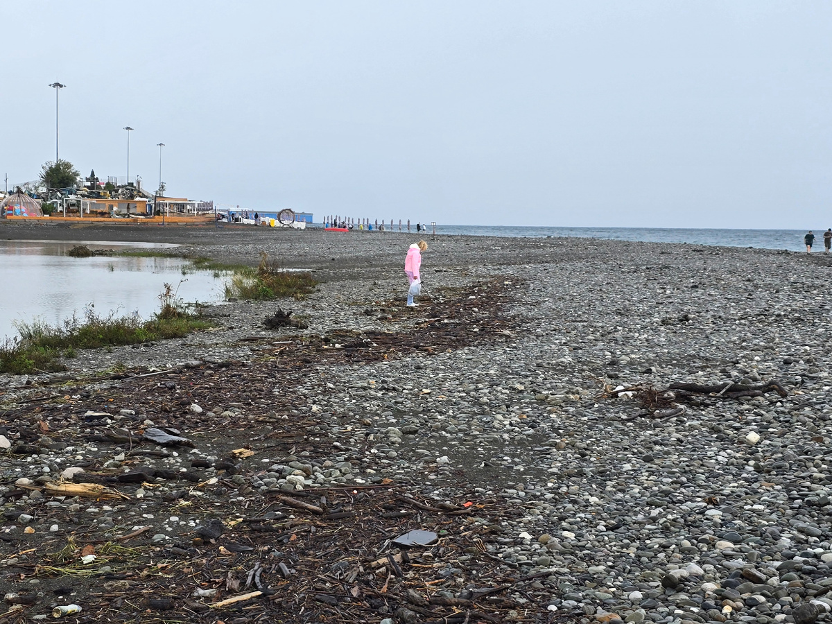 Сочи в декабре. Погода в сочи зимой. Сочи море. Климат сочи. Адлер 2023.