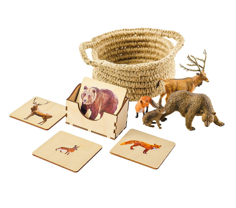 Карточки из магазина «Сойка»