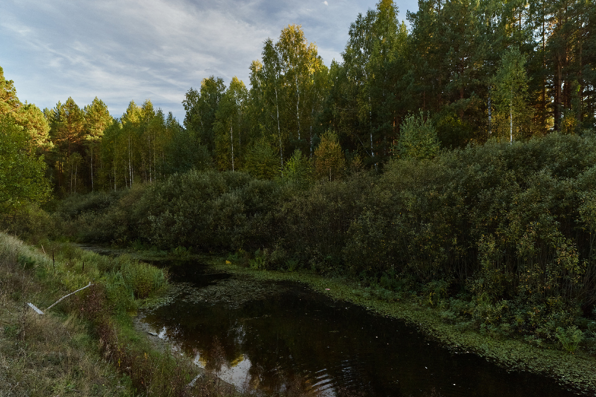 21.09.2024 г., Canon EOS 1Ds Mark III, Carl Zeiss Distagon 2.8/21 ZE T*