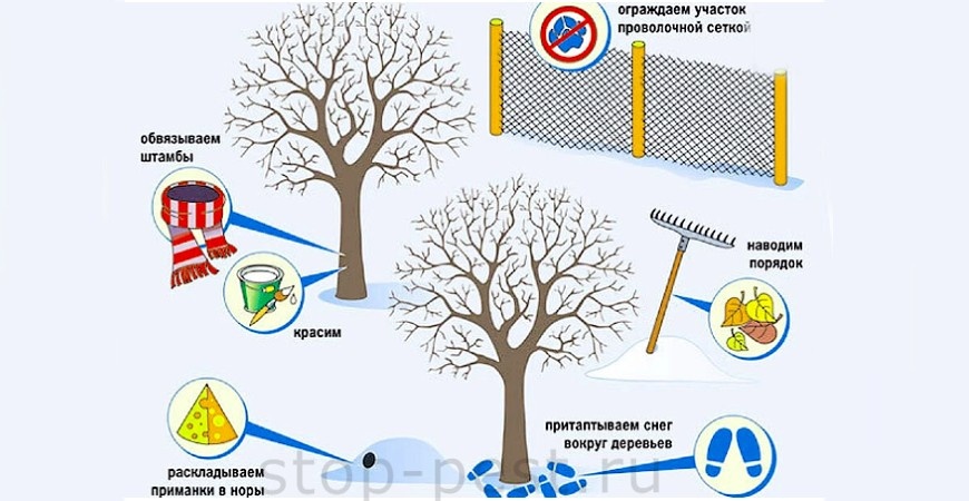 фото сайта https://stop-pest.ru