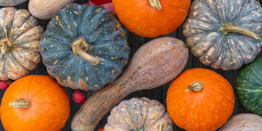 Что будет, если есть тыкву каждый день? Диетологи озвучили 5 положительных перемен — читать на Gastronom.ru