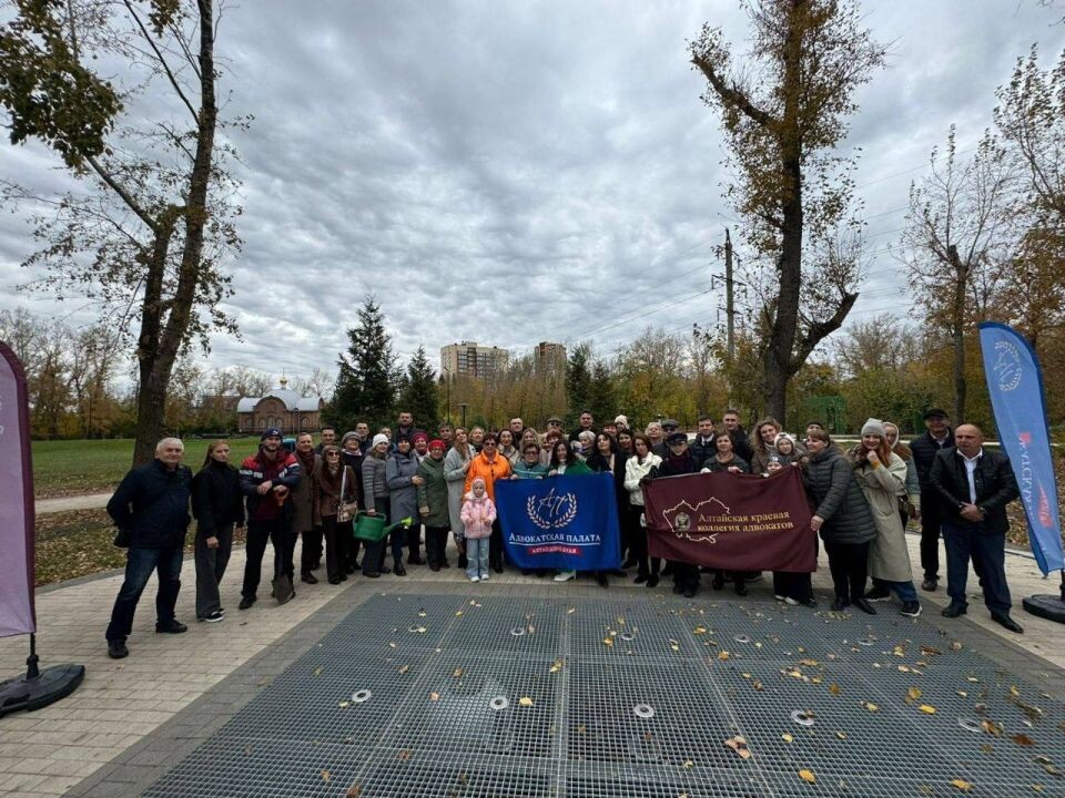    В парке "Изумрудный" появились туи. Источник: t.me/park_izumrudnyi