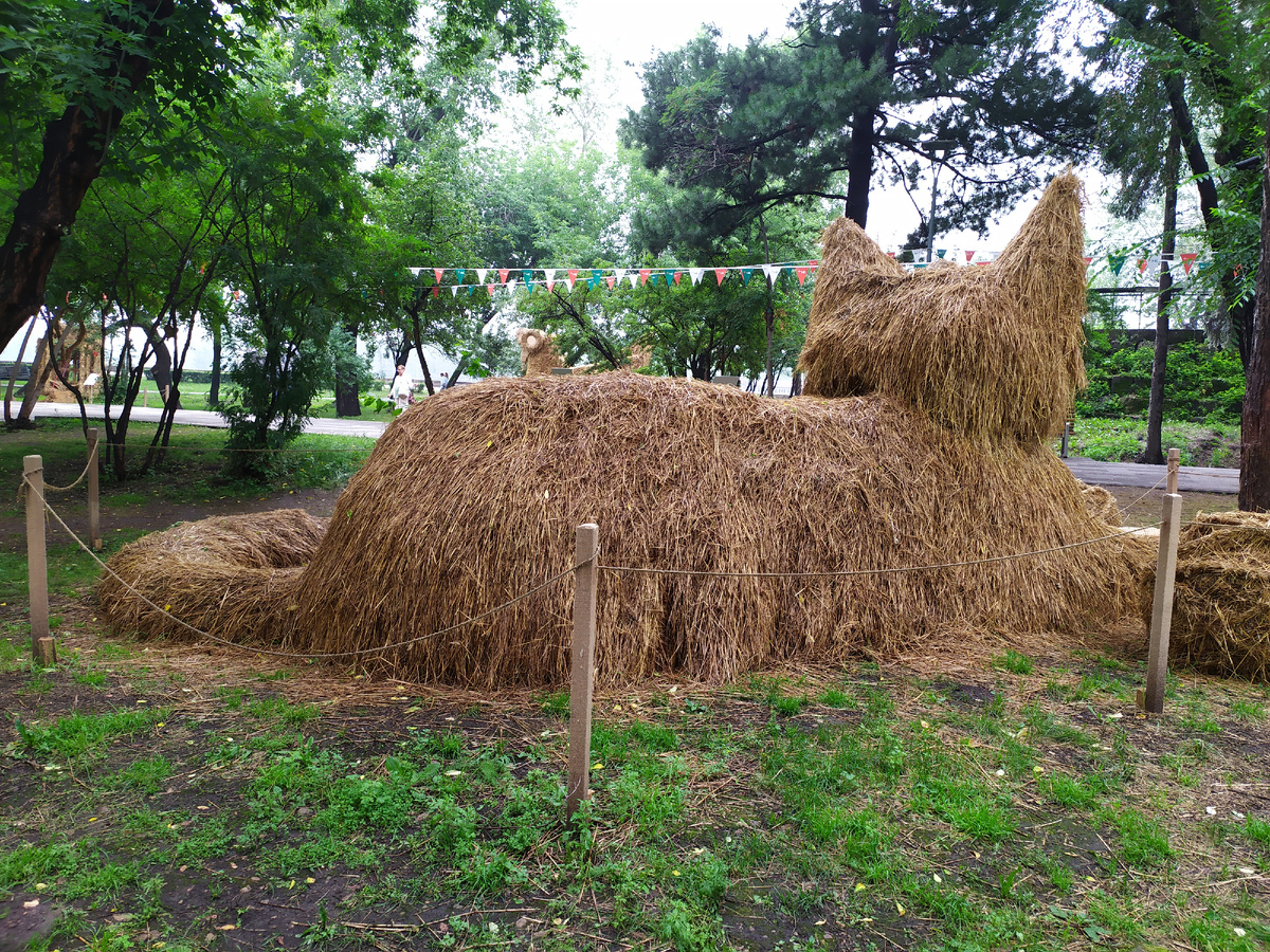 Он же,но с другого ракурса