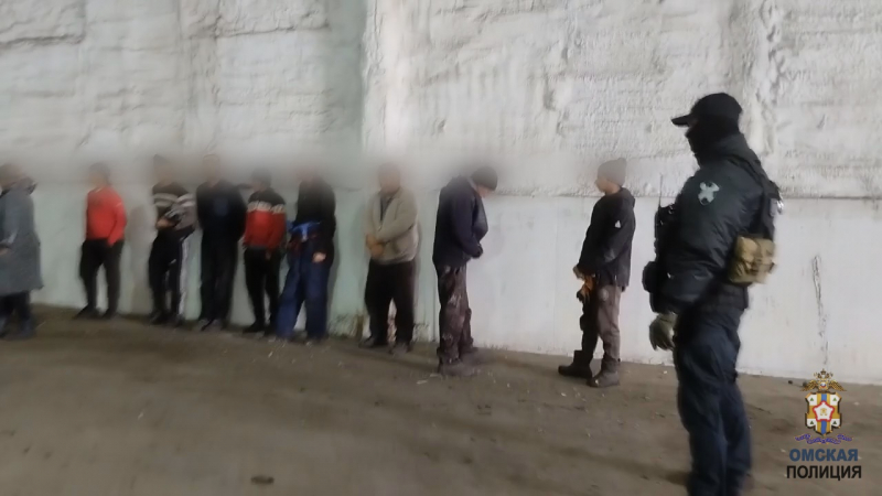 Побег как в боевике: под Омском задержали толпу мигрантов
